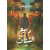 asma_1371261040